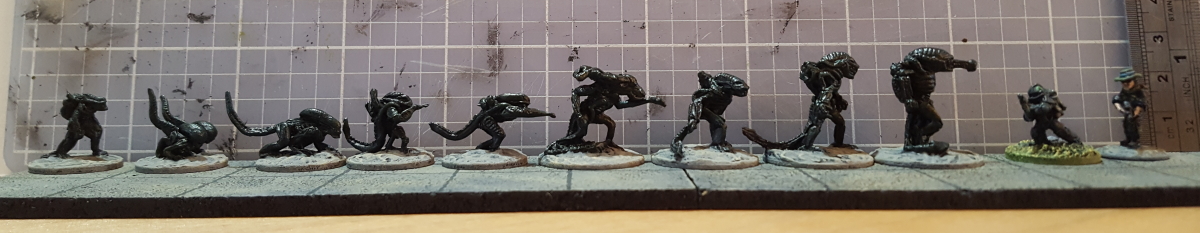 Xenos 1.jpg